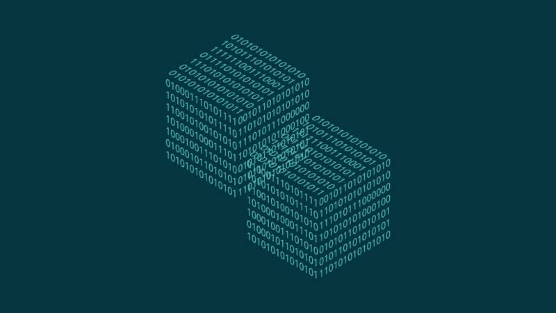 扶绥县信创改造：网络应用开发流程标准化的核心路径与实践